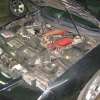 Stock